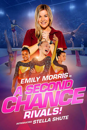 A Second Chance Rivals! 2019 Dual Audio | Hindi Full Movie Web-DL [820MB]