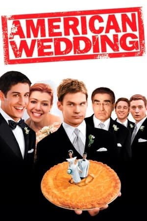 American Wedding (2003) Dual Audio | Hindi Full Movie BluRay 300MB