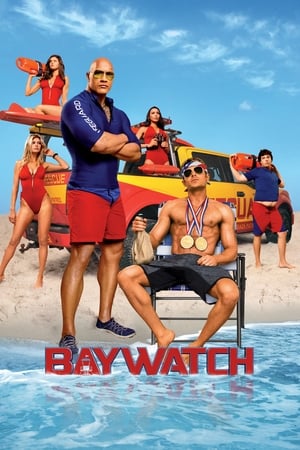 Baywatch 2017 Hevc | Hindi Full Movie Dual Audio movie Web-DL