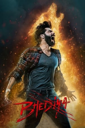 Bhediya 2022 Movie Pre-DVDRip | Hindi Full Movie – 480p