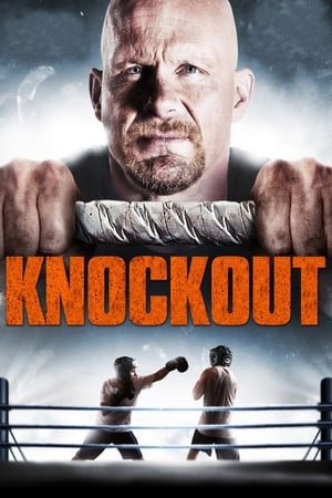 Born to Fight 2011 Dual Audio | Hindi Full Movie BluRay 300MB