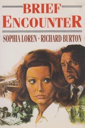 Brief Encounter 1974 Dual Audio | Hindi Full Movie BluRay 300MB