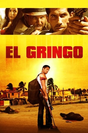 El Gringo (2012) Dual Audio | Hindi Full Movie HDRip 300MB