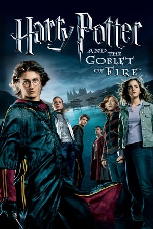 Fire & Ice (2008) Dual Audio | Hindi Full Movie BluRay [1.1GB]