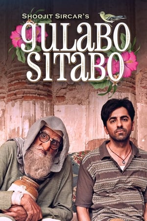 Gulabo Sitabo 2020 Movie | Hindi Full Movie HDRip x264 [980MB]