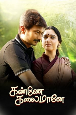 Kanne Kalaimaane 2019 ( - Tamil) Dual Audio | Hindi Full Movie UnCut HDRip 450MB
