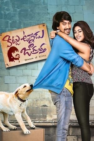 Kittu Unnadu Jagratha 2017 Dual Audio | Hindi Full Movie UnCut HDRip [1.1GB]