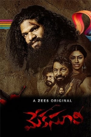 Meka Suri 2020 Movie | Hindi Full Movie HDRip x264 [660MB]