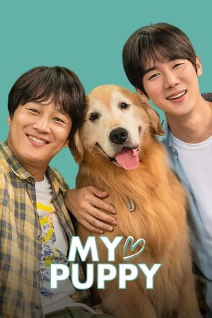 My love puppy (2022) Dual Audio HDRip | Hindi Full Movie – 480p