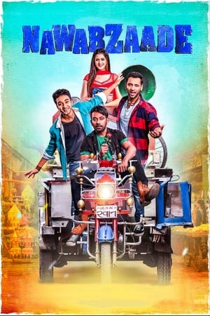 Nawabzaade (2018) Movie | Hindi Full Movie HDRip- [300MB]