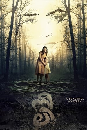 Neeli (2018) ( – Malayalam) Dual Audio | Hindi Full Movie UnCut HDRip [1.2GB]