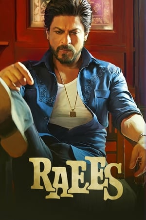 Raees (2017) Full Movie DVDRip | Hindi Full Movie [1.0GB] Download