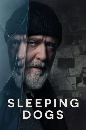 Sleeping Dogs (2024) Dual Audio HDRip | Hindi Full Movie – 720p – 480p