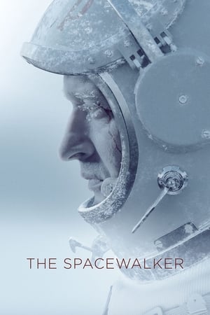 Spacewalk 2017 Dual Audio HDRip | Hindi Full Movie – 480p