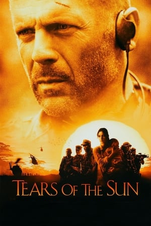 Tears of the Sun 2003 Dual Audio | Hindi Full Movie BluRay [970MB]