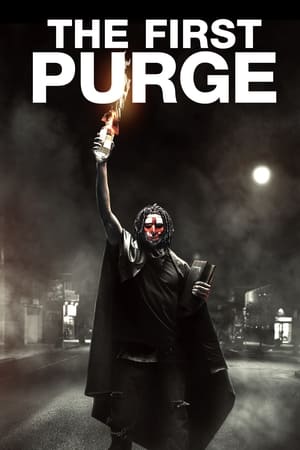 The First Purge (2018) English | Hindi Full Movie BluRay [800MB]