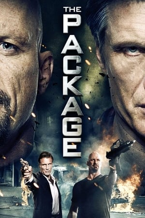 The Package (2013) Dual Audio | Hindi Full Movie HDRip 350MB