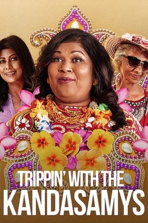 Trippin with the Kandasamys 2021 Dual Audio | Hindi Full Movie Web-DL 300MB
