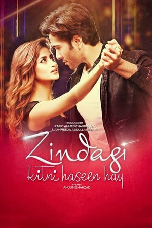 Zindagi Kitni Haseen Hay (2016) Pakistani Movie | Hindi Full Movie HDRip Download